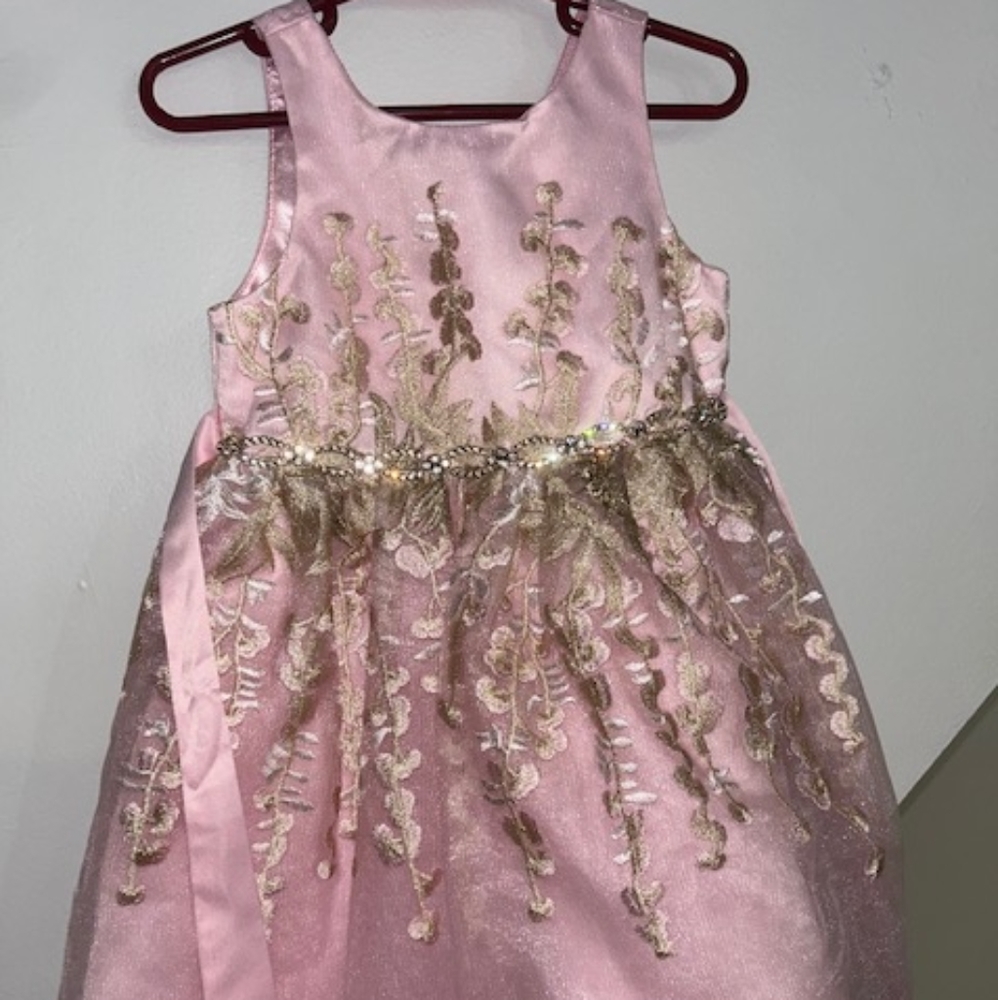pink fancy dress 4t